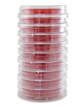 Contact Plates, Standard Sterile, Pack of 10 (Select Media)