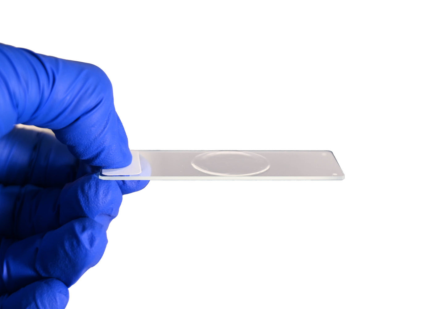Legacy Air Sampling MCE Slide (BioSlide - Compatible)