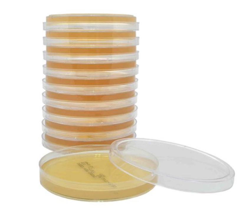 Air Plates, Irradiated, Triple Bagged, Pack of 10 (Select Media)